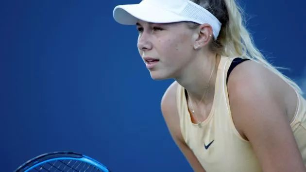 深入探讨弋 深入探讨弋